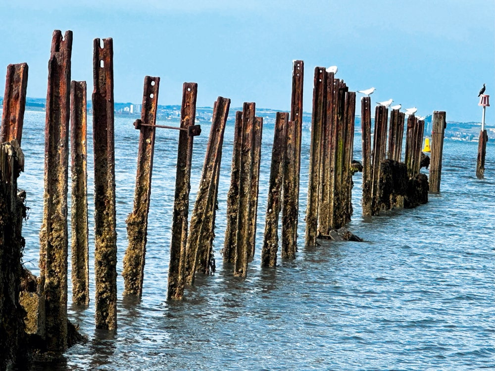Relics of the harbour’s history.