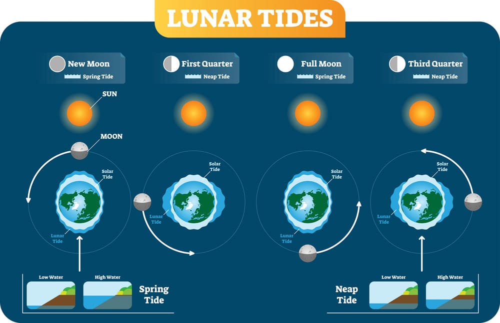 Lunar Tides