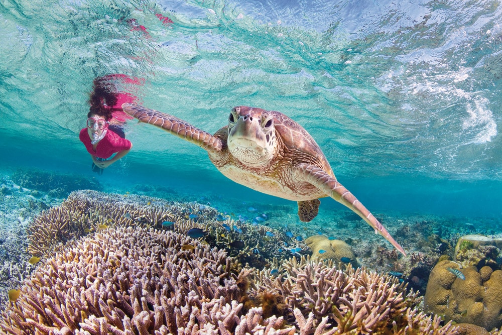 The Moorings celebrate 12 months of sustainability achievements under their ‘Our Ocean Promise’ initiative