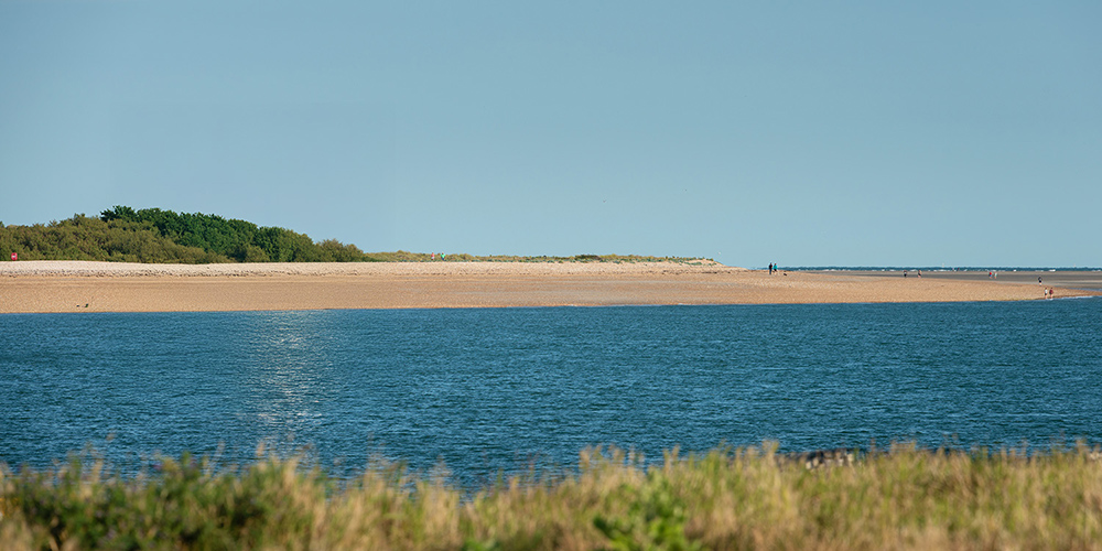 Sea and sandy beach, with grasses in the forefground